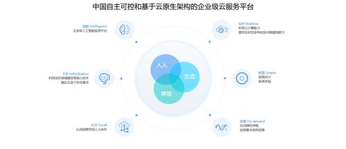上海金蝶kis商貿版軟件安裝